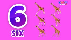 Guess the Animal Game and Learning to Count Animals