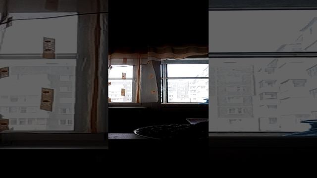 аоаоао смотреть онлайн