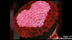 Цыганская полка  2020 года новая