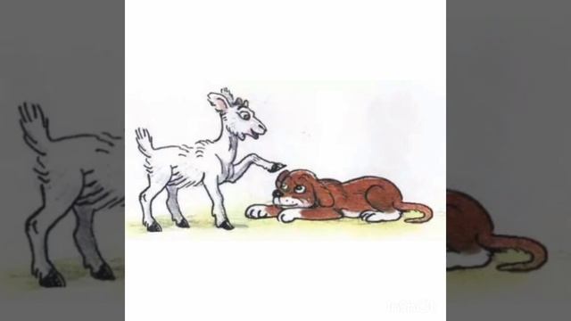 М. Пляцковский  "Облако в корыте"   #сказки  #детскиесказки  #сказкидетям   #сказкиоживотных