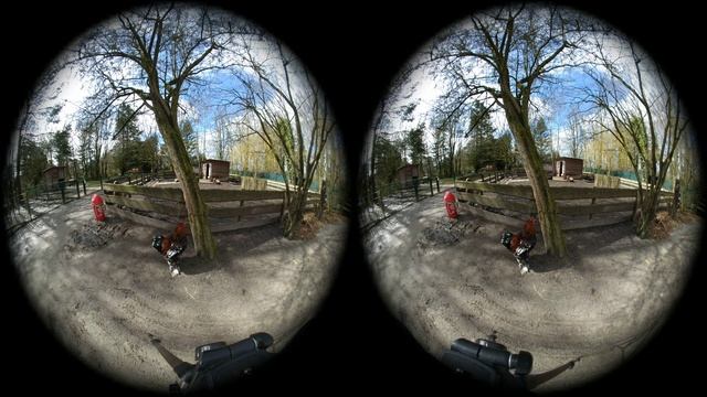 Huhn im Tierpark Funny Chicken VR 180° 3D смотреть онлайн