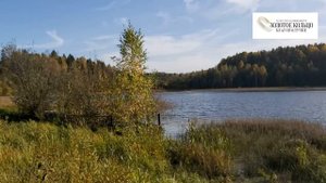 Водоем между деревнями Полувзвоз и Лисавы, 100 км от МКАД по Ярославскому шоссе старое Ярославское
