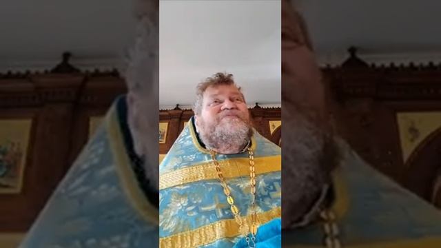 Успение Пресвятой Богородицы: как залог нашего грядущего Вознесения! 28 авг.2020 г. Отец Олег Стеня смотреть онлайн