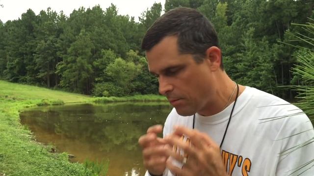 DIY - Build A Better Backyard Duck Feeder смотреть онлайн