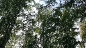 Кольцово (Новосибирск) | Обзор новых микрорайонов и ЖК «СПЕКТР» (Часть 1)