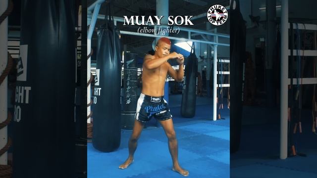 The different styles of Muay Thai