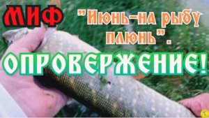 Июнь на рыбу Плюнь. ОПРОВЕРЖЕНИЕ!