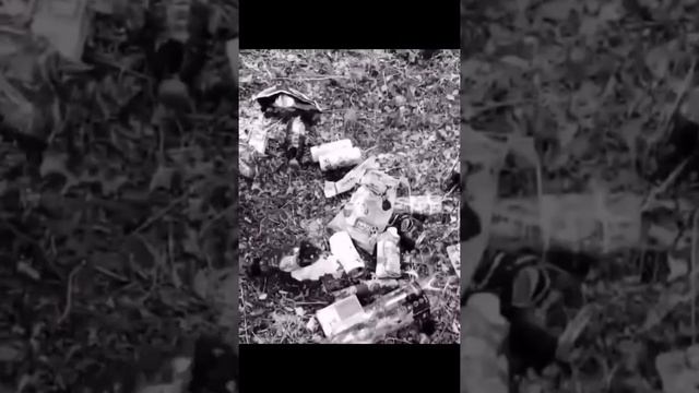 Экологический проект Вторсырьё во благо смотреть онлайн