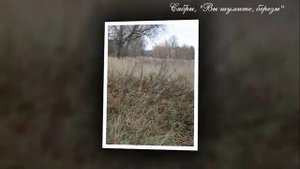 Белорусская глубинка. Климовичи, Галичи, исчезнувшая Мыза