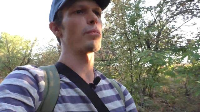 Сам ты Джек Рассел! [Боль фоксятников] Гладкошерстный фокстерьер и Джек Рассел| Майло| Маска смотреть онлайн