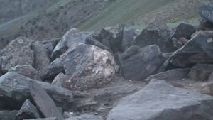 Пасём скот в горах Памира. Таджикистан. Ванч. Бунай.