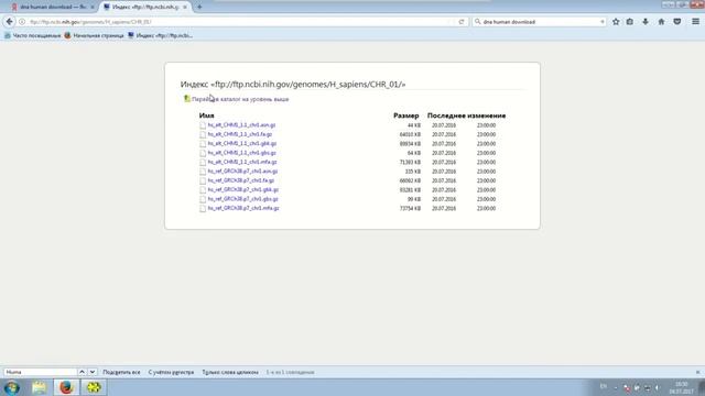 33. Файлы. Часть 1. Подготовка файла для работы с модулем Files