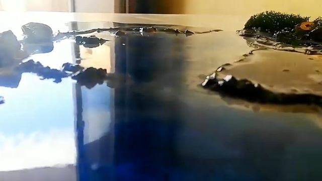 картина с морем и драконом смотреть онлайн