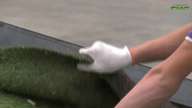 В Струковском саду на скейт-площадке появится современное антитравматическое покрытие смотреть онлайн