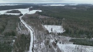 Drone DJI Mavic 3 T thermal drone test .  Animals