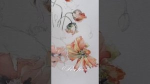 Весеннее настроение Часть 2 |  Рисуем маки акварелью | Онлайн урок рисуем с Дашей Блейз