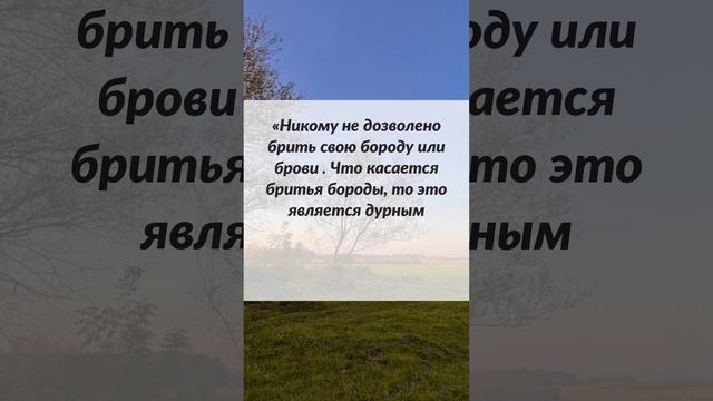 Бритье бороды является уподоблением женщине! Шафиит Аль Халми (403 г.х)