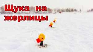 ЗА ЩУКАЙ НА ЖЕРЛИЦЫ.ЗИМНЯЯ РЫБАЛКА.