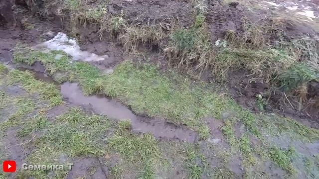 На пруду "тепло". Вношу хлореллу/Выращивание рыбы в своём искусственном пруду на участке на даче