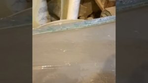 Снятие матриц с крыльев с жабрами на Hyundai getz рестайлинг ...