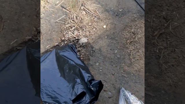 15 августа 2020 г. смотреть онлайн