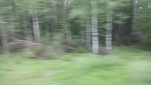 Время без забот (Макс Корж) дорога