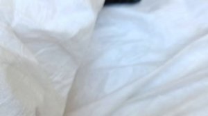 металлокоп  с квест х10 pro