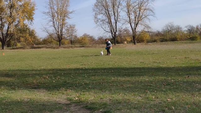 Frisbee-Манія 2018 Валентина и Вента.mp4