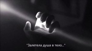 Залетела душа в тело... смысл жизни.