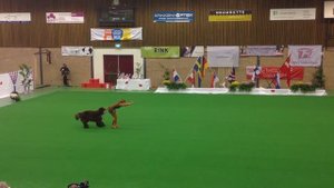 Чемпионат Европы по танцам с собаками 2013 !