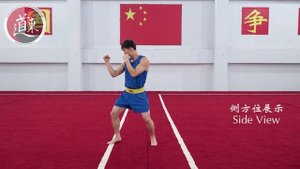 Базовая техника Ушу-саньда.