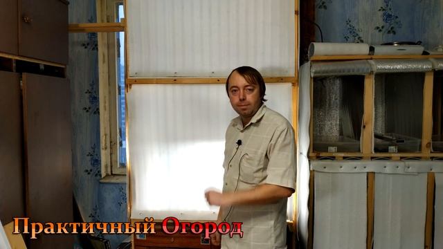Выращивание растений дома сезон 2021 2022 начало