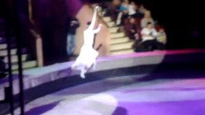 рязанский цирк