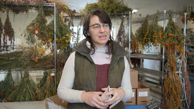 $1000 Cut Flower 💐 Johnny's Seeds Unboxing смотреть онлайн