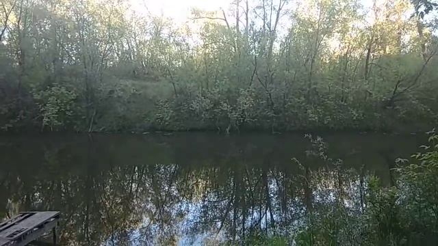 На любимой речке смотреть онлайн