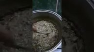 Бобровый жир (вариант 1)