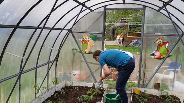 Подвязываем томаты смотреть онлайн