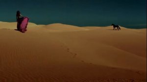 Лошади - это очень красиво