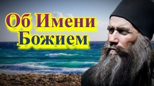 Об Имени Божием. Мысли Старца: о растениях и животных - Силуан Афонский
