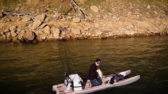 iSTALKER by Fish Stalker смотреть онлайн