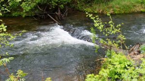 хинган ролик.wmv