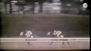 Секретариат!Кадры из жизни скакуна!