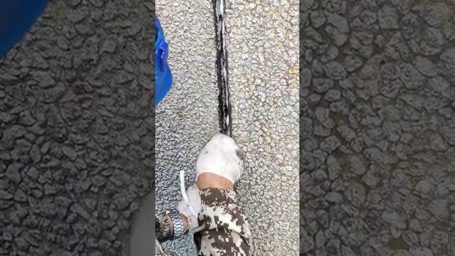 МСК ПРОМТЕХАЛЬП☎+74956418848 услуги ремонта и герметизации панельных фасадов офисных зданий Москва?