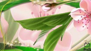 Free Project ProShow Producer - Поздравление любимой женщине с Днем Рождения- Бесплатный проект