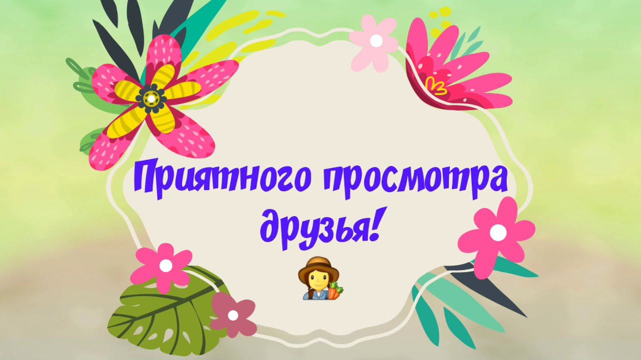 Для теплиц высокорослые томаты, посев индетерминантных.