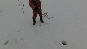 Зимняя рыбалка. Рыбалка в Татарстане. Ловля берша на тюльку.