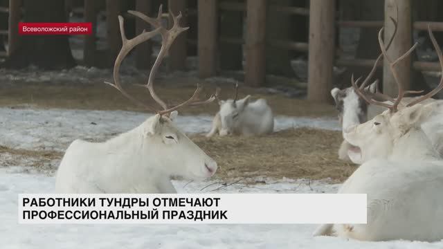 Работники тундры отмечают профессиональный праздник