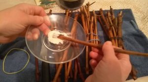 ЧЕРЕНКОВАНИЕ ВИНОГРАДА.