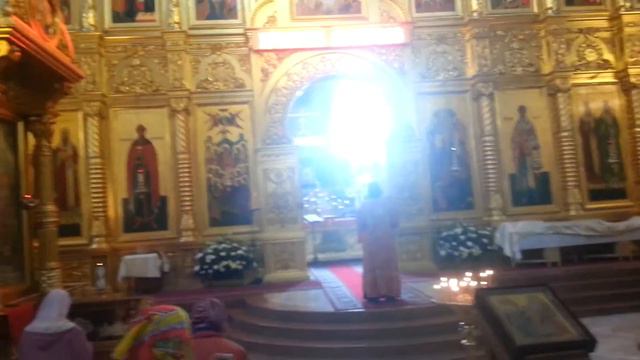 Служба в светлую среду в НУПДС смотреть онлайн