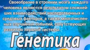 Генетика поведения.